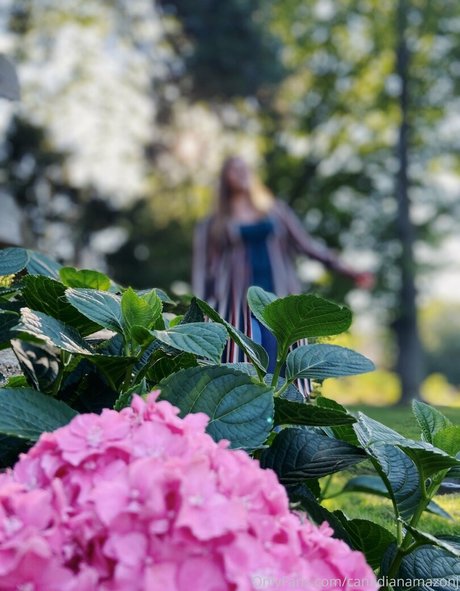 amazonjacq OnlyFans Nacktbilder