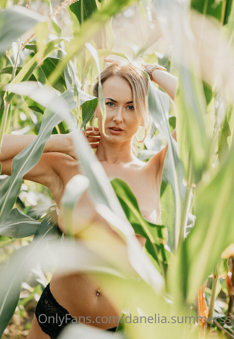 danelia summerss OnlyFans geleakte Pornografie