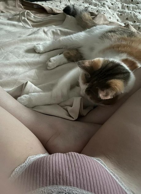 Aorta Porn OnlyFans Leaks