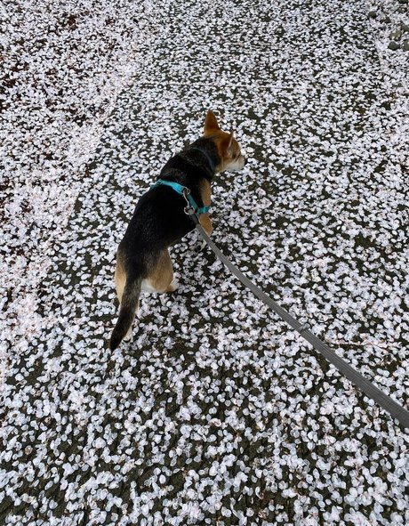 Karlibra Po OnlyFans