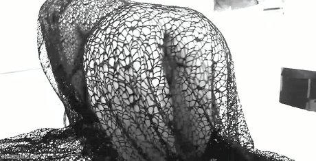 Brooke Marks Nackt auf OnlyFans