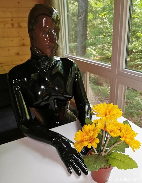 vickydevika Profilbild