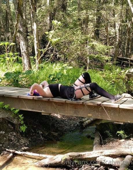 calvatron OnlyFans Pornografie