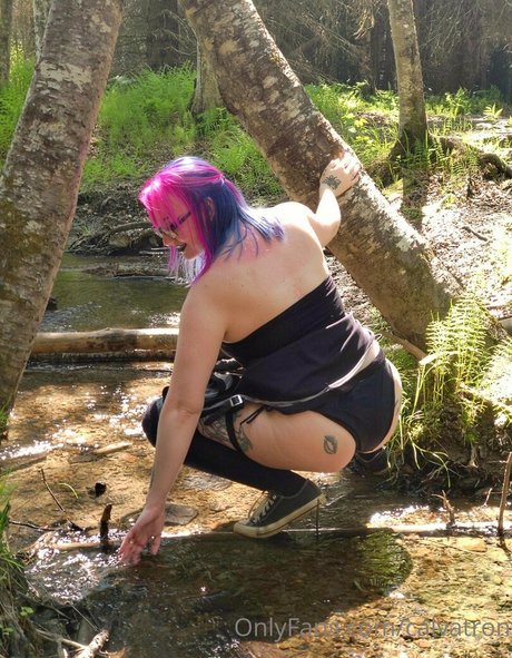 calvatron Profilbild