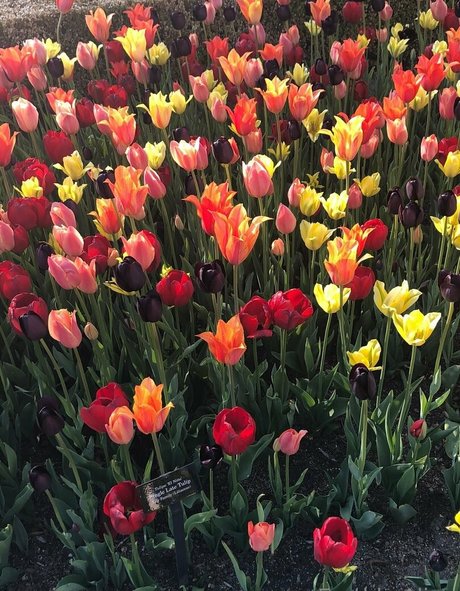 earthlyalien Sex auf OnlyFans