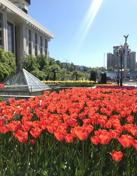 lili babe Füße OnlyFans