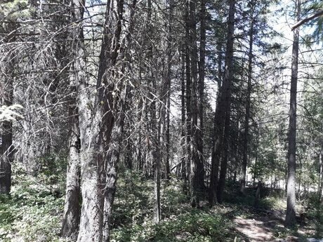 Devon Ellis OnlyFans Modelfoto