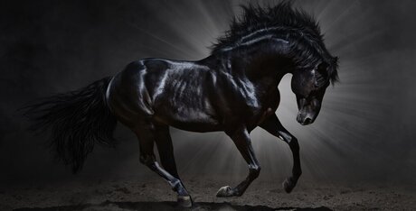 Beau Bliss Nackt OnlyFans Porn