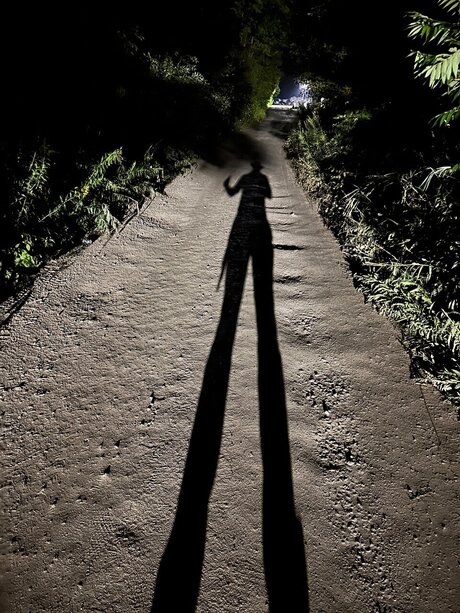 Double Dick OnlyFans-Seite