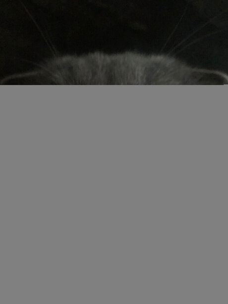 Chivas Nackt OnlyFans