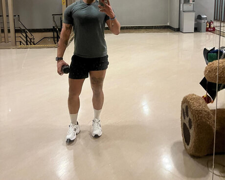 Wildebeest Bilder OnlyFans