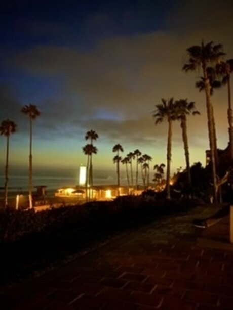 cxrxvx Kostenloses OnlyFans