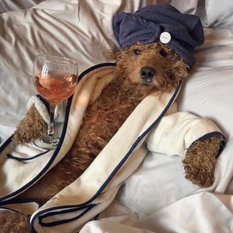 Thick Guy OnlyFans Pornografie