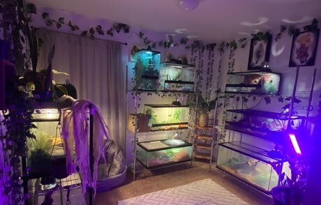 Dannicka OnlyFans XXX