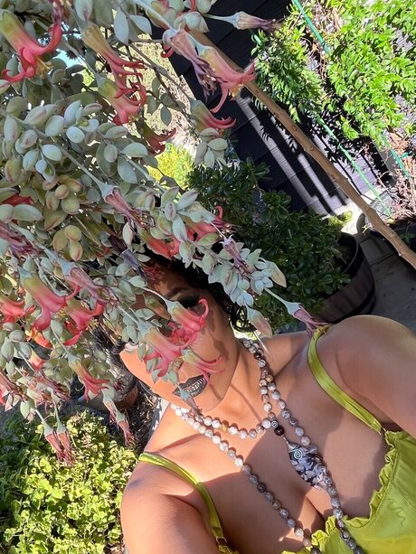 Seraphina OnlyFans Mega