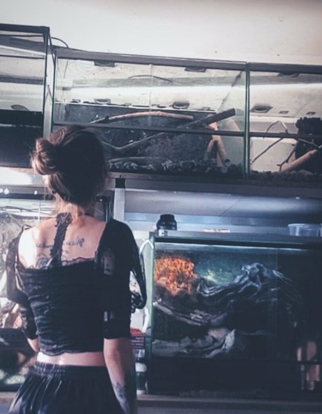 artnvenom OnlyFans Leaked Gratis