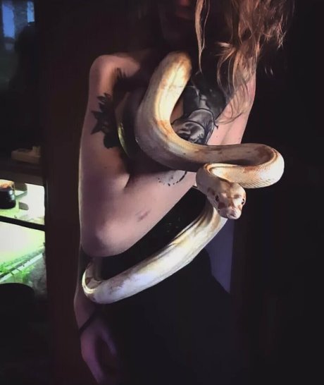 artnvenom OnlyFans Nacktfotos