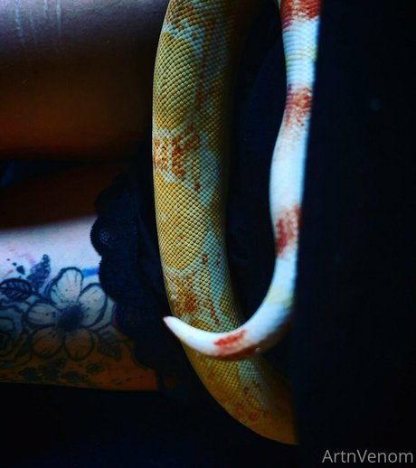 artnvenom OnlyFans Sextape geleakt