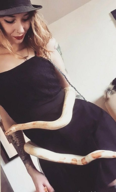 artnvenom OnlyFans-Archiv