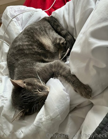 holyheck Leaked OnlyFans Pornografie