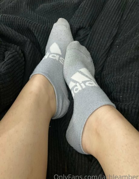 lachleamber OnlyFans Pornografie