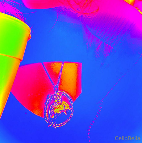 cellobella7 XXX OnlyFans