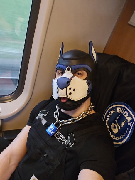 pupbuday Leak von OnlyFans Pornografie