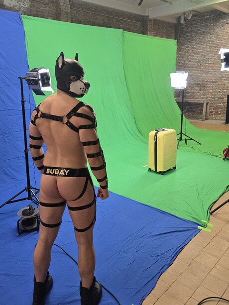 pupbuday OnlyFans geleakte Brüste