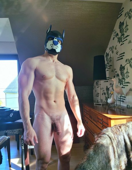 pupbuday Leaked OnlyFans XXX