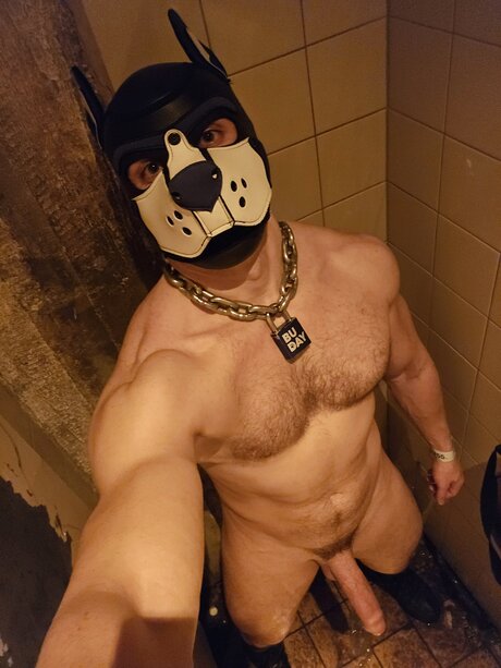 pupbuday Leaked OnlyFans XXX