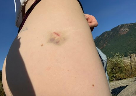 sunset fawn Profilbild