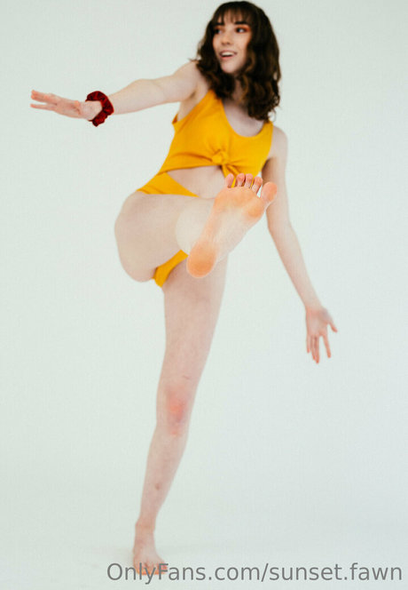 sunset fawn 
