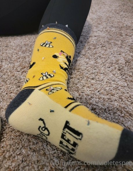 violetespea OnlyFans-Archiv