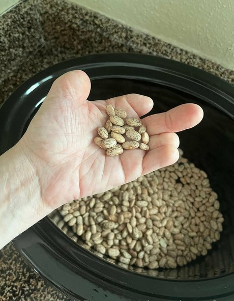 pictureimperfect OnlyFans gratis