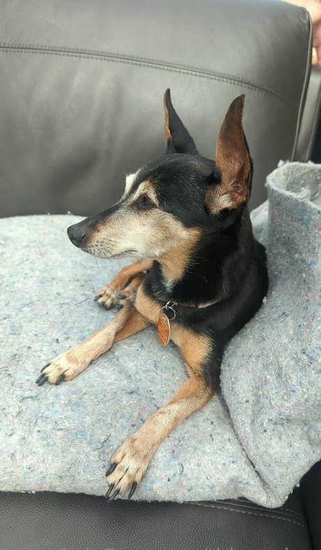 thisgoober OnlyFans XXX