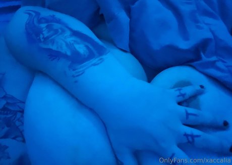 xaccalia OnlyFans Striptease