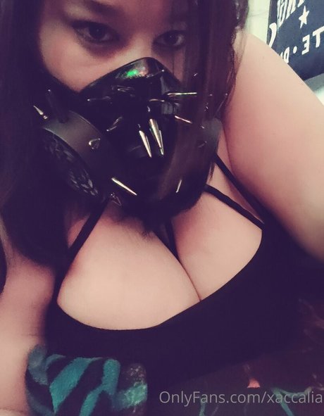 xaccalia Heiße OnlyFans Inhalte