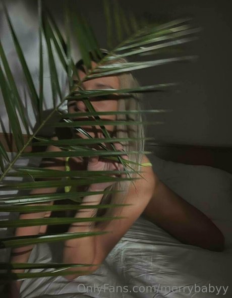 merrybabyy Leaked OnlyFans Content