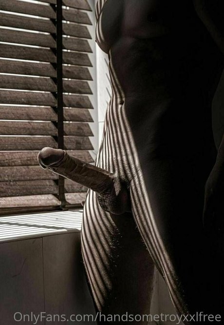 handsometroyxxlfree OnlyFans-Seite
