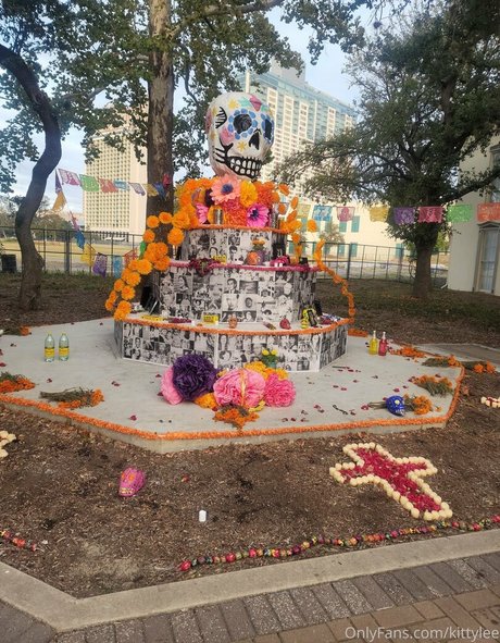 kittylee OnlyFans Sextape