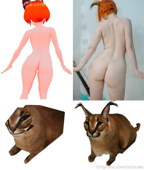 tacticake OnlyFans-Leaks