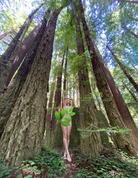 vesperdollfree OnlyFans Nacktbilder