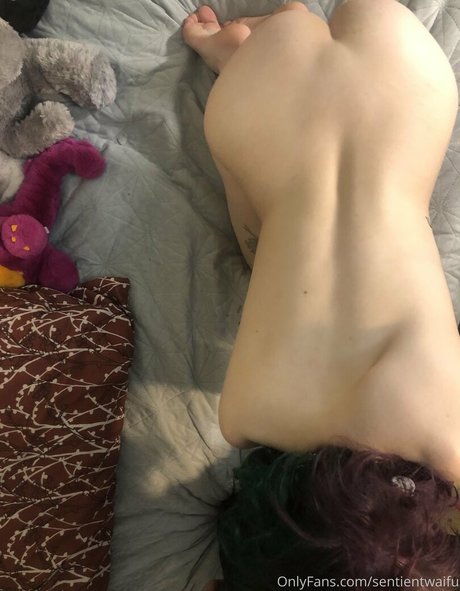 sentientwaifu Sextape OnlyFans Nacktbilder