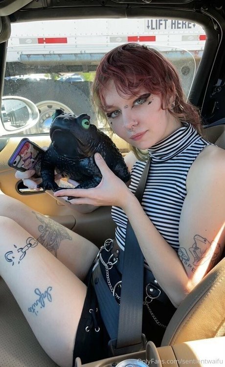 sentientwaifu OnlyFans Bilder