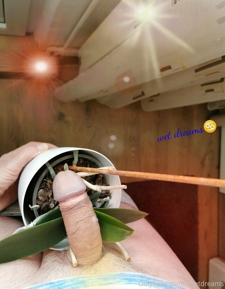 uwetdreams Oben ohne OnlyFans