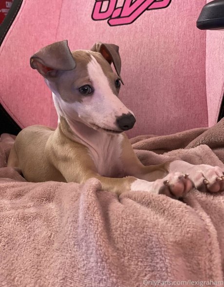 LexiGraham OnlyFans-Leak