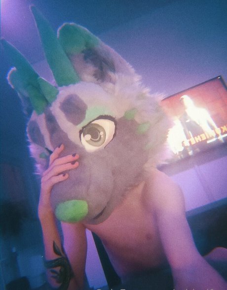 midorifox Leaks OnlyFans