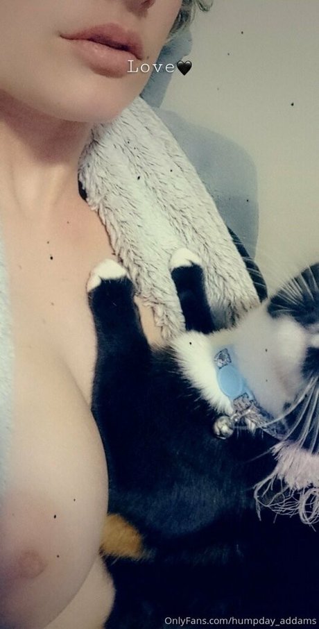 humpday addams Leak von OnlyFans-Inhalten