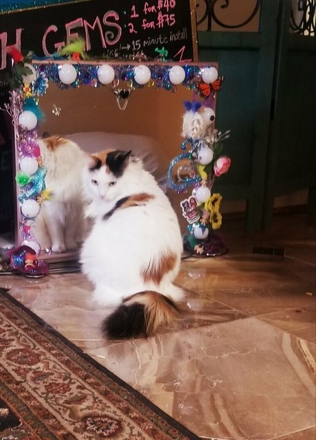 empressming Neue OnlyFans Leaks