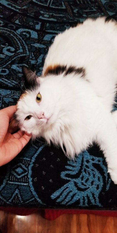 empressming Leaked OnlyFans Sextape